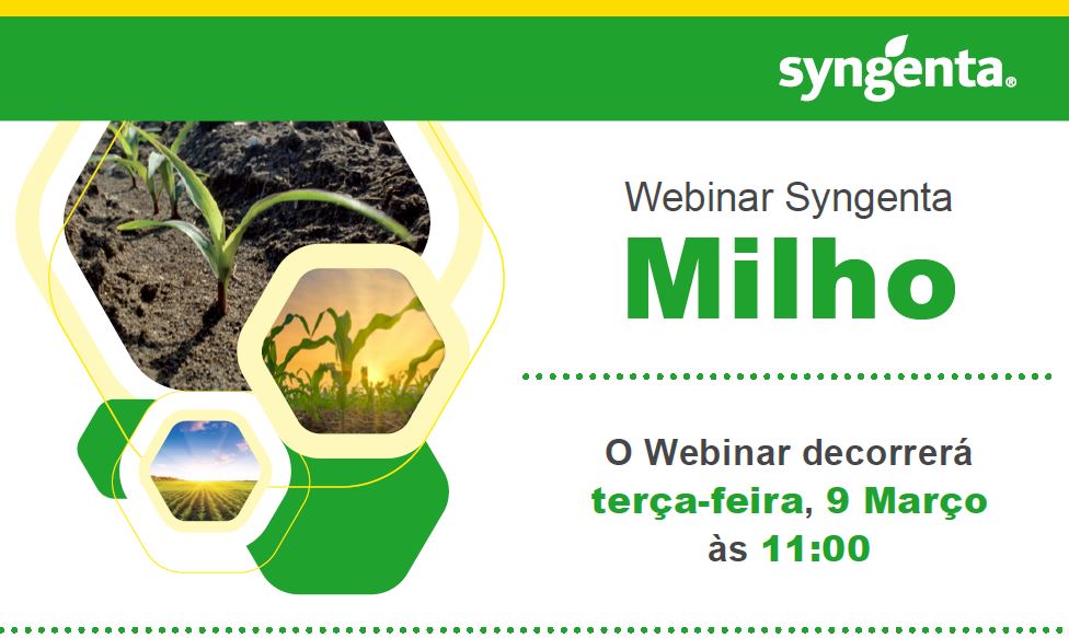 webinar milho